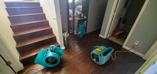 Best Mold removal after water damage  in Basin, WY