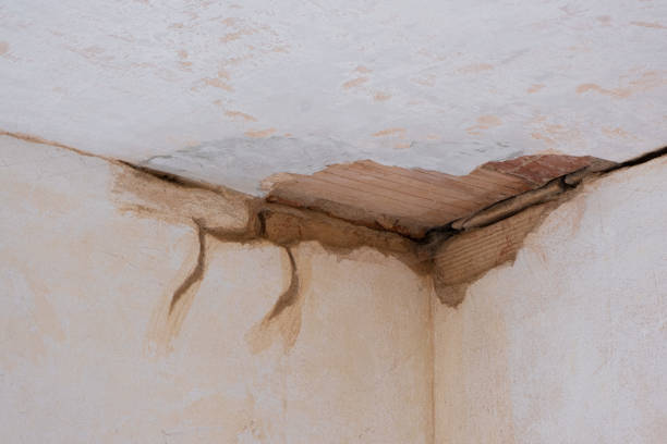 Best Commercial water damage restoration  in Basin, WY