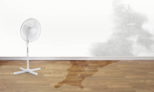 Best Water damage restoration services  in Basin, WY