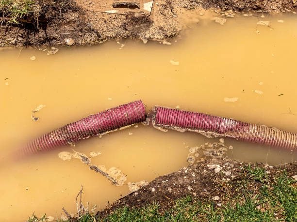 Best Commercial water damage restoration  in Basin, WY