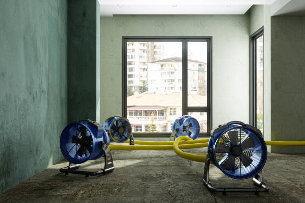 Best Emergency water damage restoration  in Basin, WY